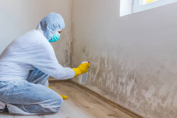 Licensed Crawl Space Mold Remediation service in Wilmington, NC - Car Mold Remediation